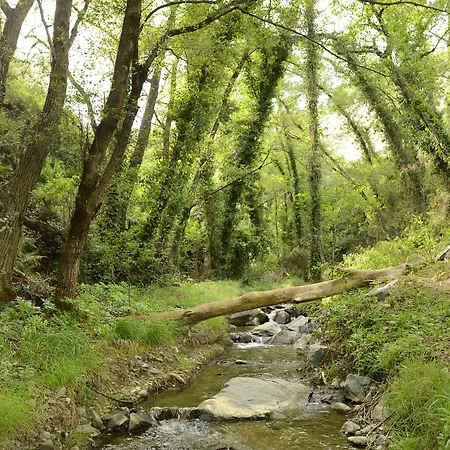 كاسال بانايوتيس كالوبانايوتيس