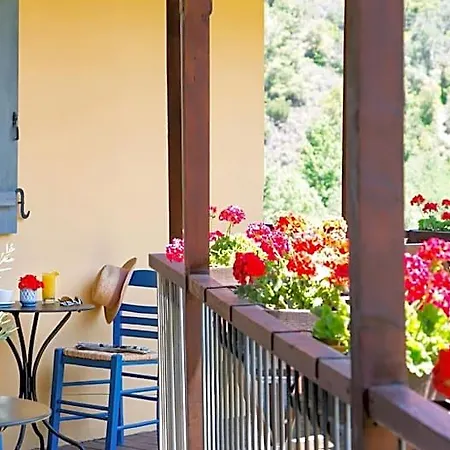 Casale Panayiotis Hotel