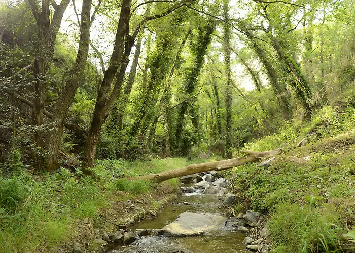Casale Panayiotis Καλοπαναγιώτης